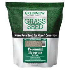 Perennial ryegrass grass for sale  Broad Brook