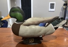 Ducks unlimited dick for sale  Freeland