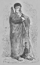 Spain españa cattle for sale  UK