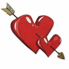 Fustella sizzix thinlits usato  Galliate