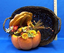 Fall autumn pumpkin for sale  Bemidji