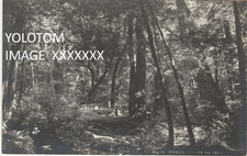 Pillsbury rppc view for sale  Dunsmuir