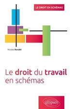 Droit travail schemas d'occasion  France