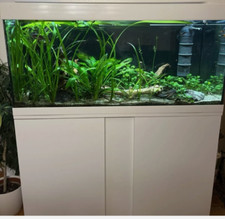 Eheim aquarium komplett gebraucht kaufen  Bühl