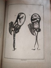 Recueil planches anatomiques d'occasion Recueil planches anatomiques d'occasion  Le Mans