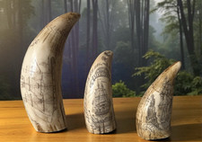 Sperm whale scrimshaw for sale  San Jose