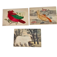 Usado, Cartões postais antigos de arte popular arte em penas pássaro peludo urso polar desenhados à mão comprar usado  Enviando para Brazil