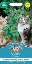 Catmint catnip 250 for sale  NEWMARKET
