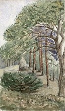 Scottish rural landscape for sale  UK