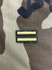 Listras de serviço masculinas no exterior do exército dos EUA (2) 1 ano costura classe A uniforme dourado/verde comprar usado  Enviando para Brazil