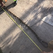 Ace chain sling for sale  MALVERN