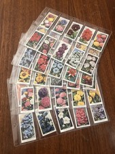 Garden flowers wills for sale  CHICHESTER