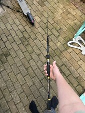 Fishing rod fresh for sale  GREAT YARMOUTH