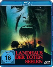 Landhaus toten seelen gebraucht kaufen  Berlin