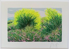 Franco azzinari serigrafia usato  Roma