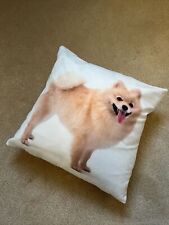 Pomeranian dog picture for sale  EASTBOURNE