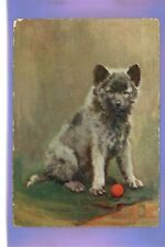 Early 1912c keeshond for sale  THETFORD