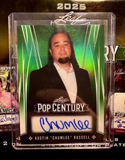 Chumlee pawn stars gebraucht kaufen  Koberg, Breitenfelde, Lankau