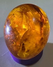 Amber egg burmite for sale Amber egg burmite for sale  OSSETT