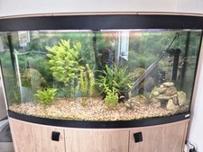 Fluval vicenza 260l for sale  BRISTOL