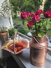Set kupfer milchkanne gebraucht kaufen  Leipzig