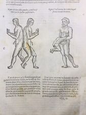 Gato Siames 1614 Verona Autun Baucheron Chieri Rara Grabado Ambroise Paré, usado comprar usado  Enviando para Brazil