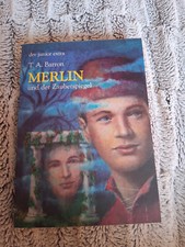Merlin zauberspiegel taschenbu gebraucht kaufen  Pinneberg