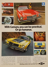 1974 chevy camaro for sale  Mountain Home