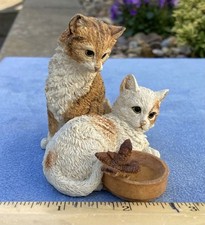 Country artist kittens for sale  WELLINGBOROUGH
