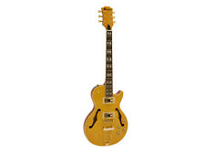 Gitarre löchern semi gebraucht kaufen  Schwarzenfeld