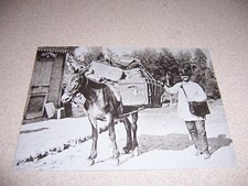 C.1900 switzerland mule usato  Spedire a Italy