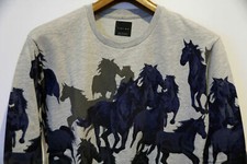 Beau chevaux zara d'occasion  Strasbourg-