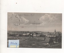 Syrau rosenbach vogtland gebraucht kaufen  Bad Lausick