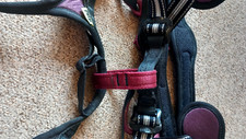 Petzl climbing harness for sale  CHICHESTER