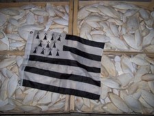 Seiche kg. 24 d'occasion  Rennes-