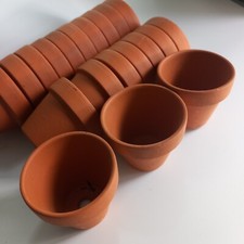 Terracotta clay plant for sale  OXFORD