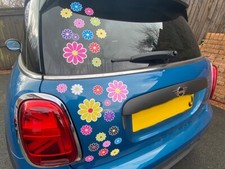 Multi coloured daisy for sale  BRIDGEND