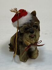 Shih tzu lhasa for sale  Charlotte