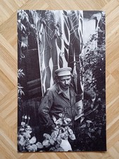 Hap grieshaber portrait gebraucht kaufen  Andernach