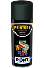 Ront peinture noir d'occasion  Gex