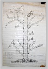 Généalogie manuscrit arbores d'occasion  Salies-de-Béarn