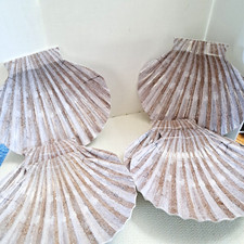 Shell shape melamine for sale  Hammonton