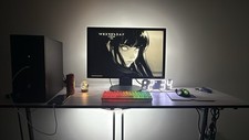Gaming setup monitor gebraucht kaufen  Limburg a. d. Lahn