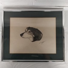 Pet portrait possibly for sale  JOHNSTONE