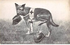 Pyrenean shepherd 82086 for sale Pyrenean shepherd 82086 for sale  Shipping to United Kingdom