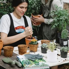 Fleur artificielle maîtresse d'occasion  Expédié en France