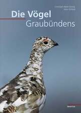 Vögel graubündens meier gebraucht kaufen  Stuttgart