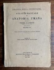 Werner spalteholz atlante usato  Genova