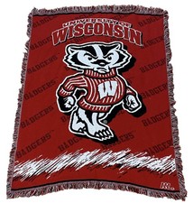 Vintage wisconsin badgers for sale  Manitowoc