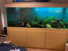 7ft fish tank for sale  UK